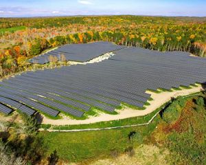 View of solar array surrounded by forest trees.