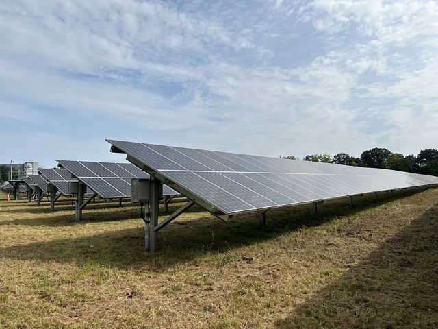 Solar panels in a grassy field with trees surrounding it.