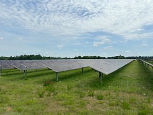 Solar panels framing a sunrise. 