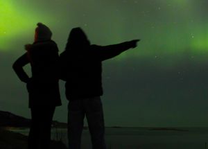 Stars shine in a night sky.