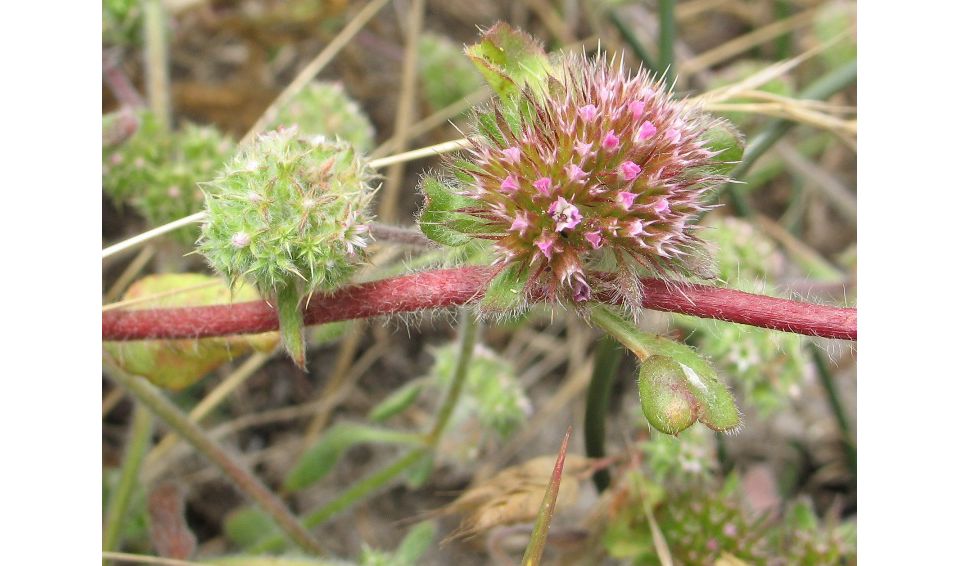 Point Reyes National Seashore: A Path Forward