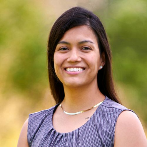 Financial Modeling Analyst