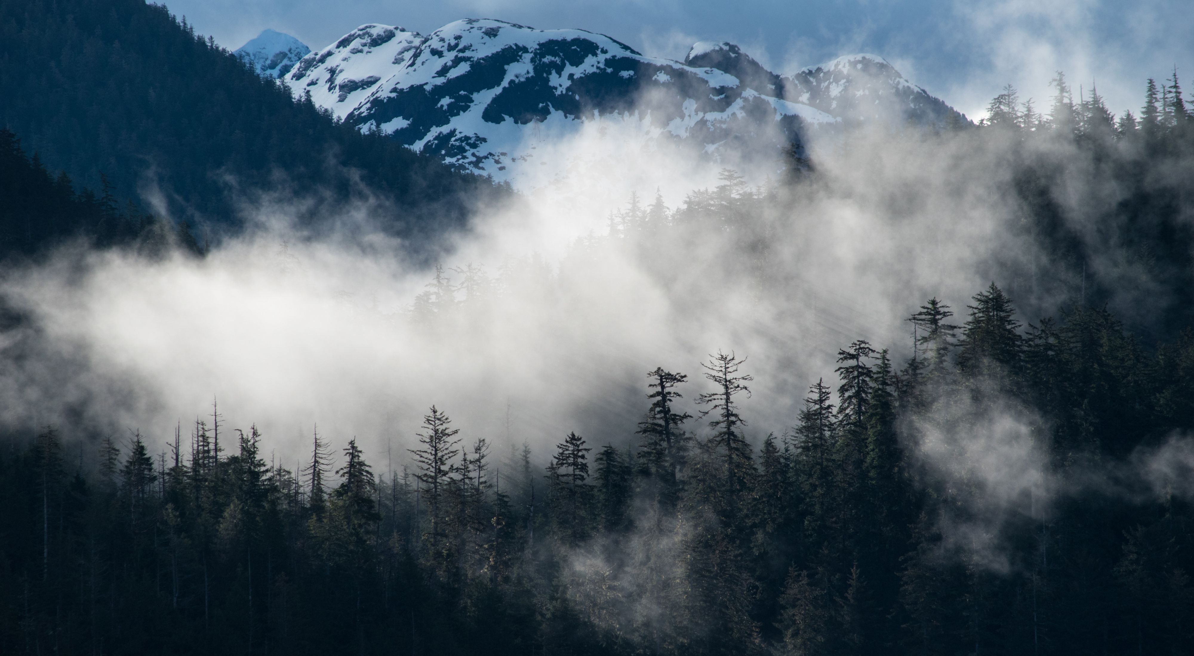 Photo of mountains and forests of Southeast Alaska, with fog intermixed in the mountains.
