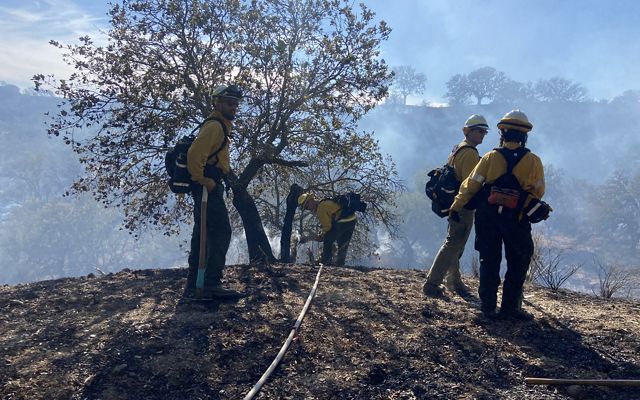 Participants of a fire training exchange conduct a controlled burn in the hills of Southern California.