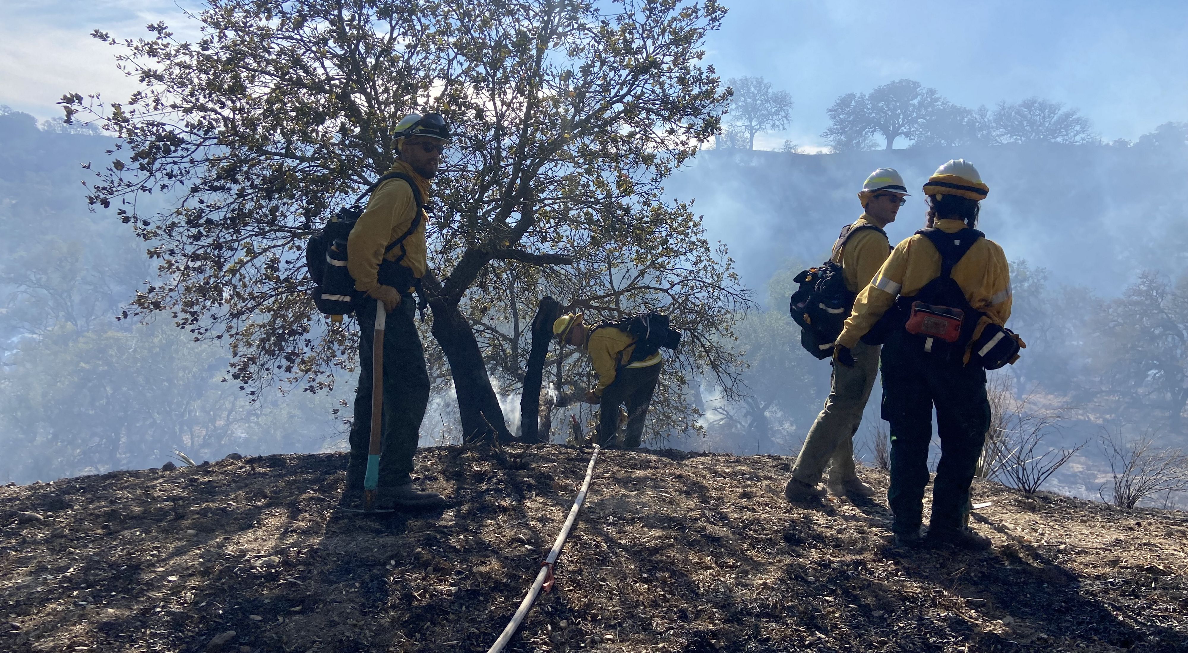 Practitioners at the Santa Barbara TREX—the first TREX in Southern California—conducted a controlled burn on the University of California’s Sedgwick Reserve. 
