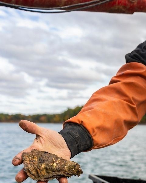 A man on a boat holding an oyster.