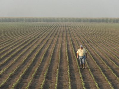 The Nature Conservancy works with farmers to improve the hydrology and water filtration on their property.