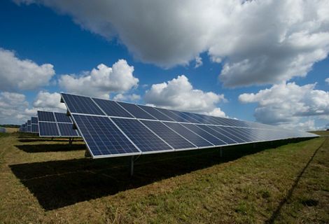 Rows of solar panels extend into the distance in a field.