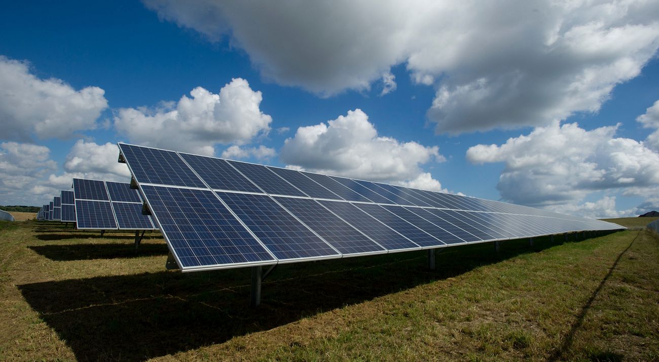 Rows of solar panels extend into the distance in a field.