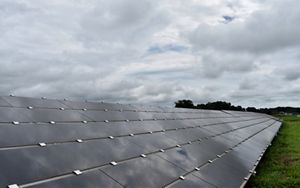Solar panels at the Mount Olive I solar farm.