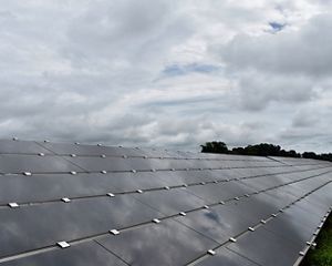 Solar panels at the Mount Olive I solar farm.
