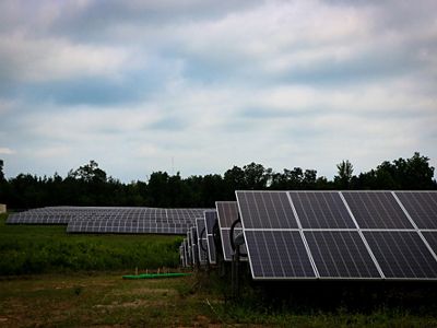 Solar panels spread out on a field.