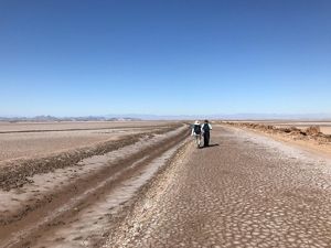 scientists walk in the dry Colorado River Delta