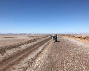 scientists walk in the dry Colorado River Delta
