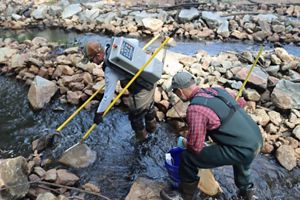TNC staff members are electrofishing. 