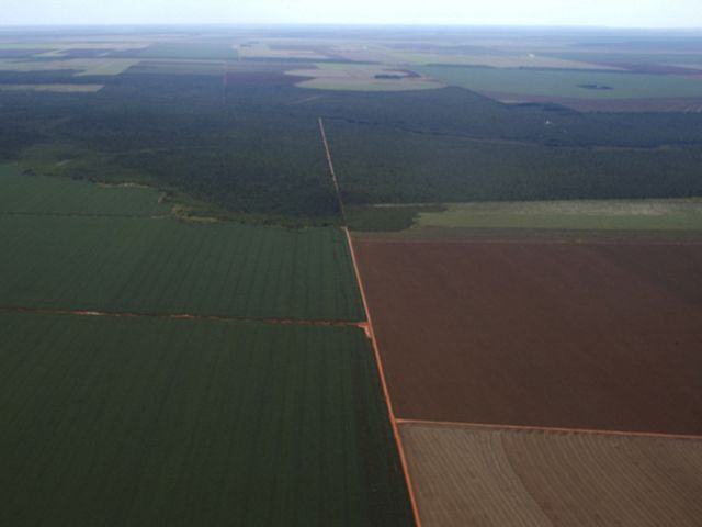 An island of native Cerrado grassland survives as an area of permanent protection under Brazilian law while soy encroaches from all sides.