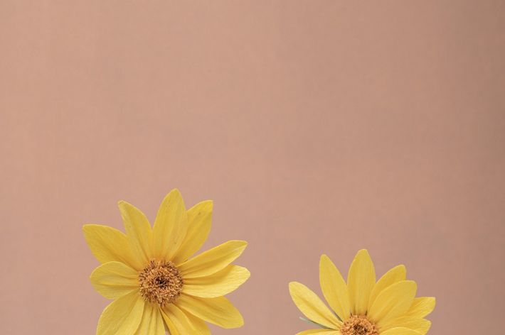 Arrowleaf Balsamroot