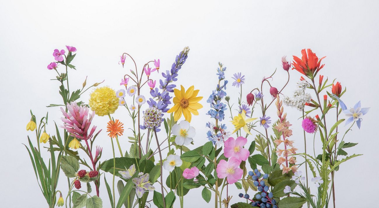 Colorful paper wildflowers are arranged against a white background.