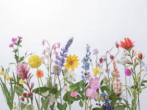Colorful paper wildflowers 