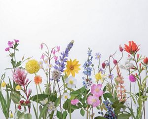 Colorful paper wildflowers