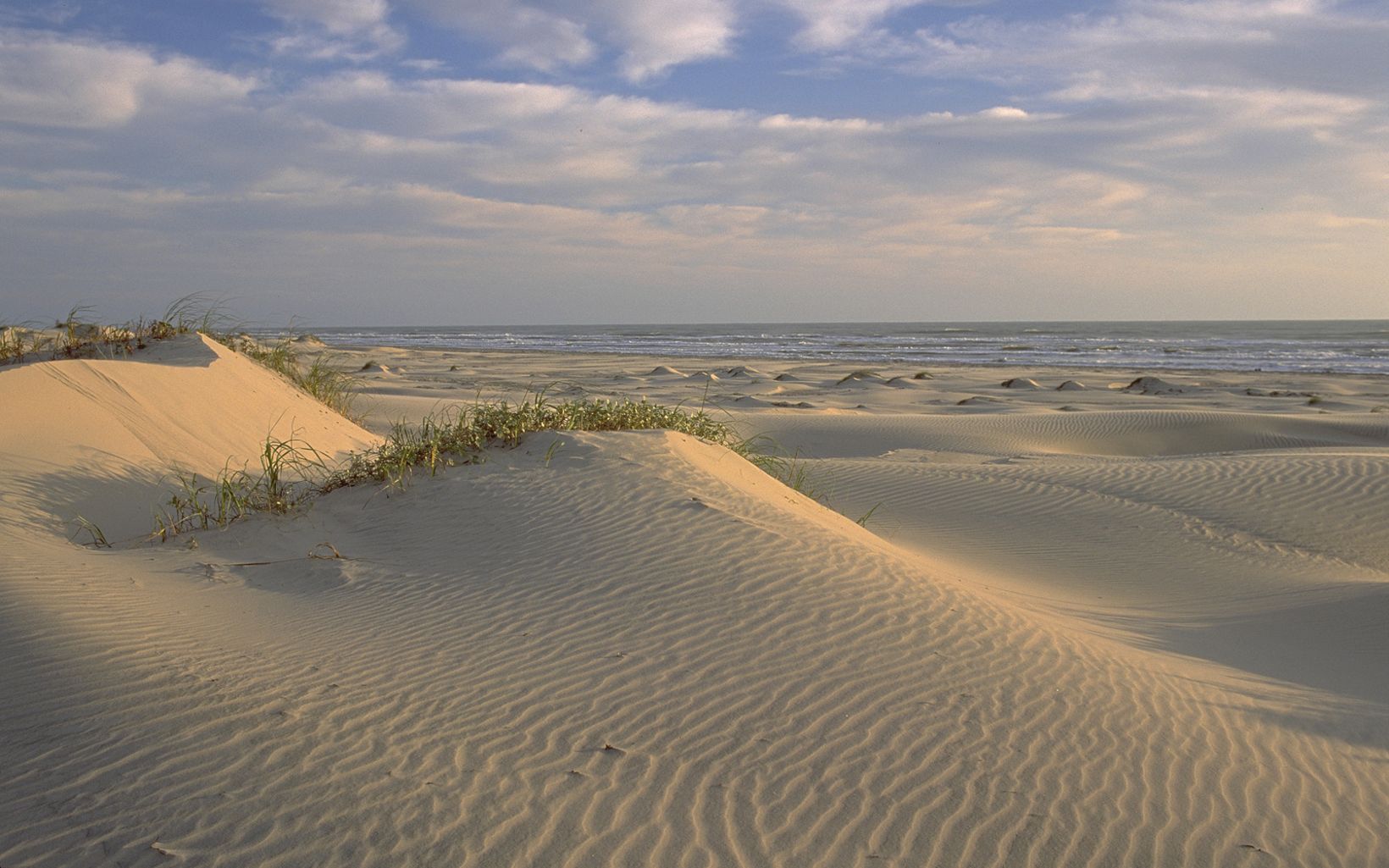 South Padre Island Coastal dunes on South Padre Island in Texas where TNC has purchased the 17,000-acre Powderhorn Ranch to protect and restore the coast. © Harold E. Malde