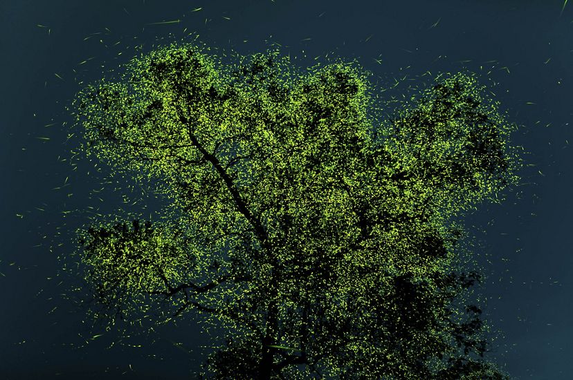 against a dark blue background, a silhouetted tree is seen covered in neon green-like specks of light (fireflies)