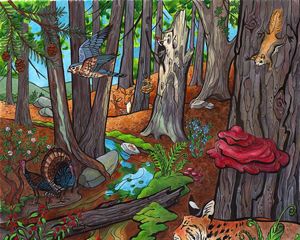 An art illustration showing a variety of species moving through a mountain forest.