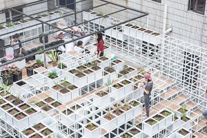 In 2017, TNC collaborated with partners and launched the "Gangxia 1980 Sponge City Green Roof Demonstration Project".