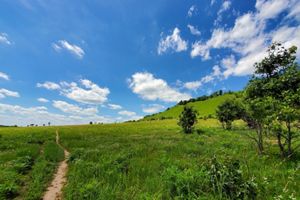 A dirt trail leads through open prairie toward a steep green bluff in the distance.