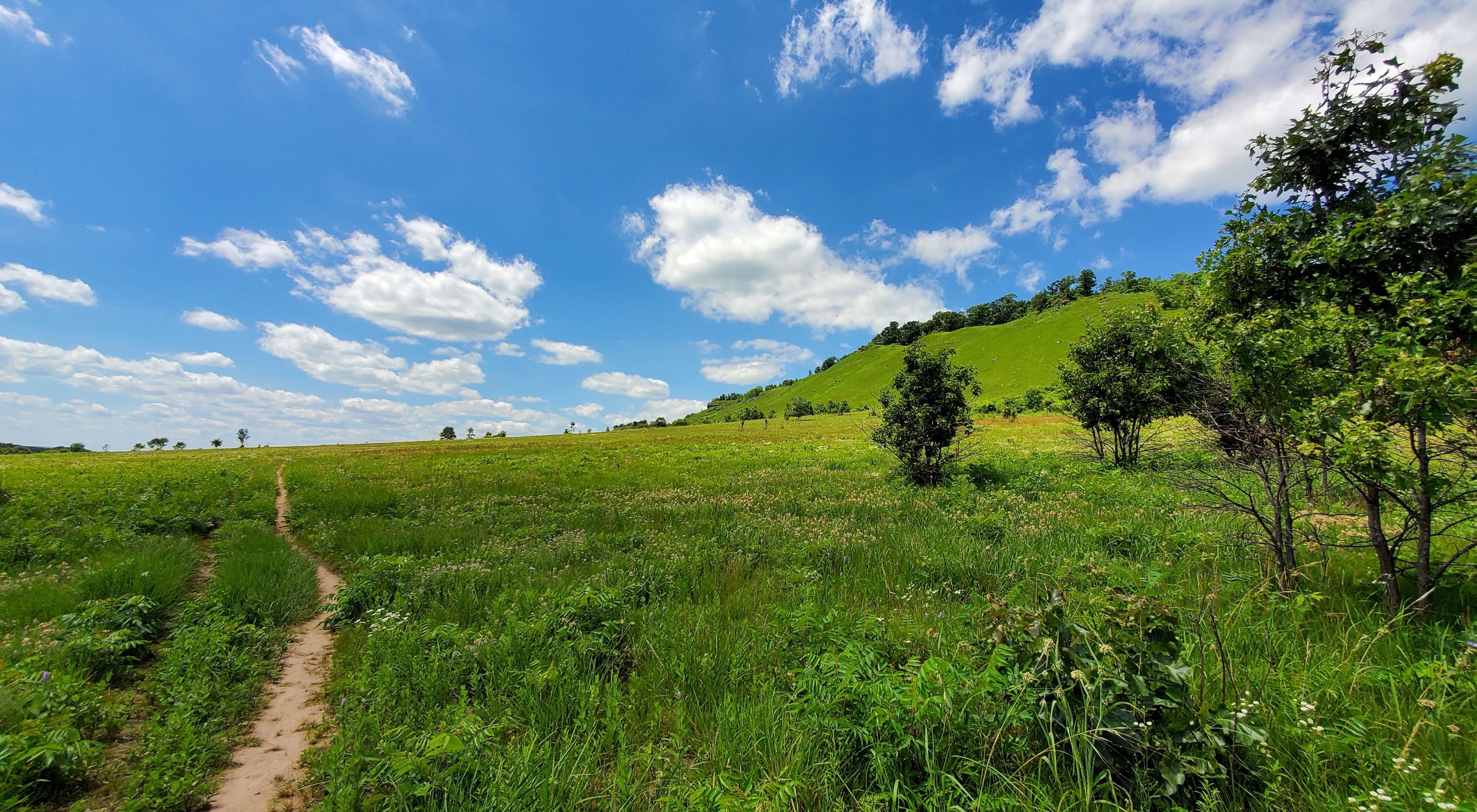 A landscape of green prairie.