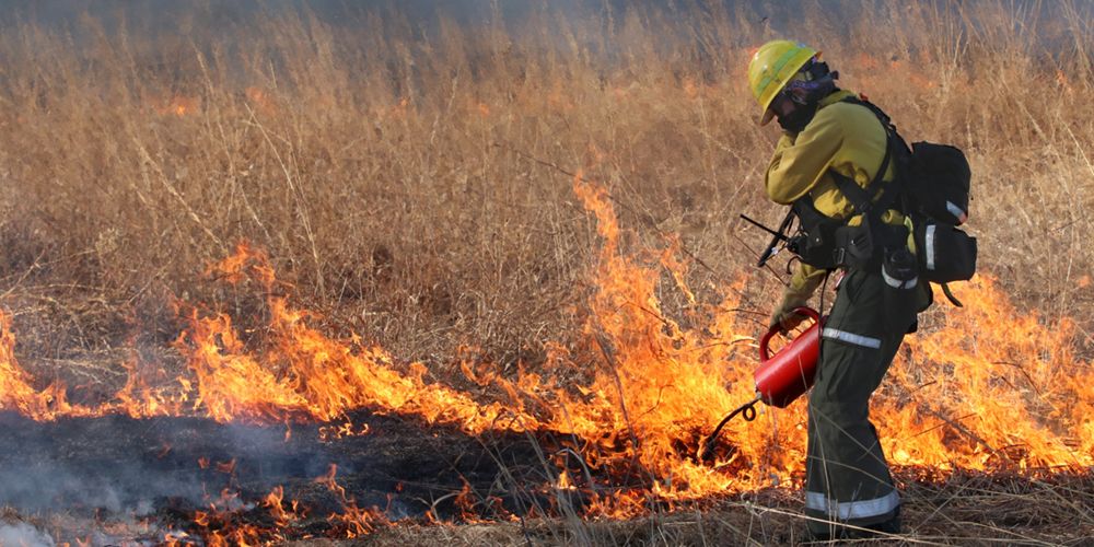 A person in fire PPE standing with a drip torch next to a fire in a grassland.