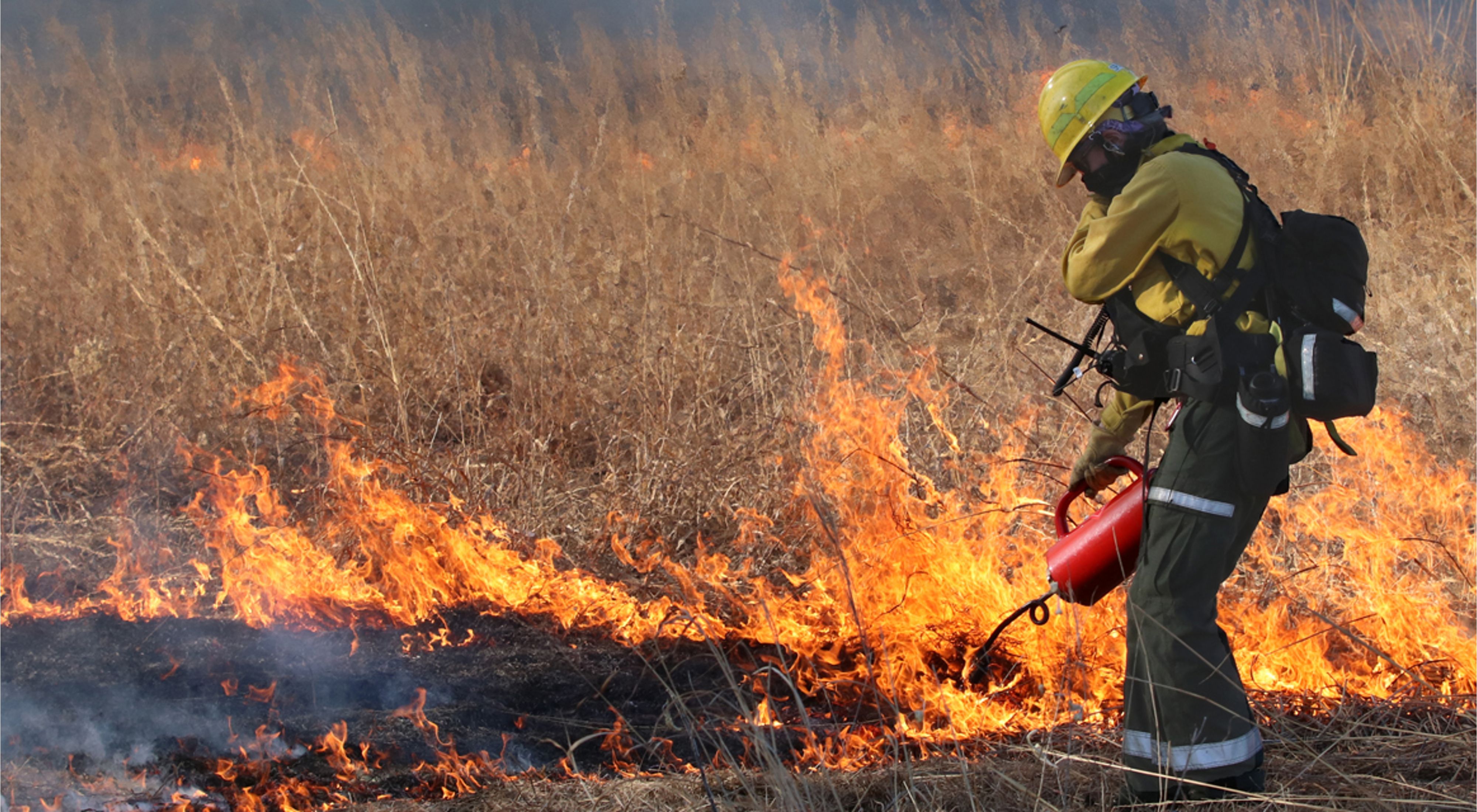 A woman dressed in yellow and green fire protective clothing, helmet, and other gear holds a red drip torch to a patch of dry brown grass that is in flames. 