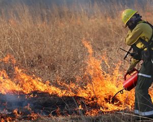 A woman dressed in yellow and green fire protective clothing, helmet, and other gear holds a red drip torch to a patch of dry brown grass that is in flames.