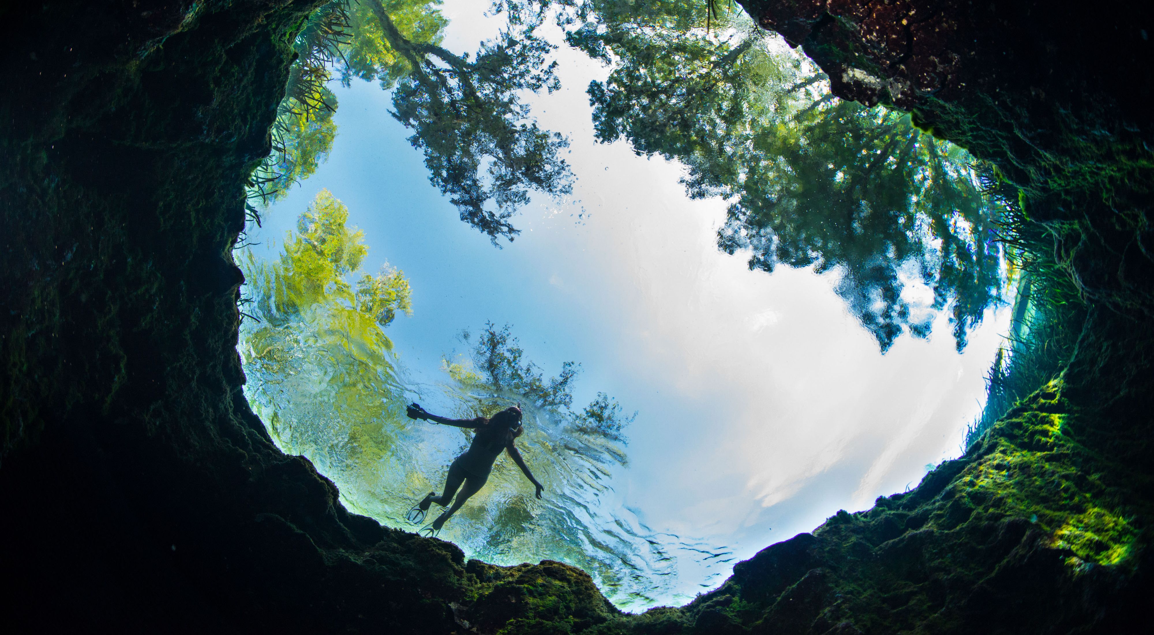 Foto subacuática de un manantial de Florida en la que se ve a una mujer nadando por encima con el cielo detrás.