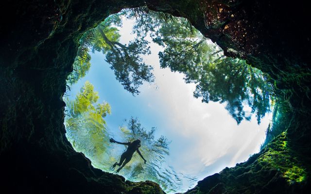 A view up at a swimmer as they float at the surface of a clear spring with trees silhouetted above them. 