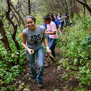 A group of women hike along a trail lined with green foliage in a single file line.