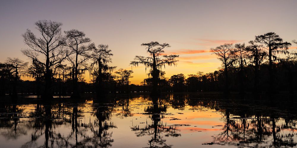 A calm lake at sunrise or sunset with cypress trees dripping in hanging moss silhouetted against an orange and pink sky, the lake mirrors the sky.