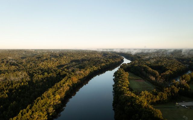 Aerial view of the Cape Fear River and surrounding forest.