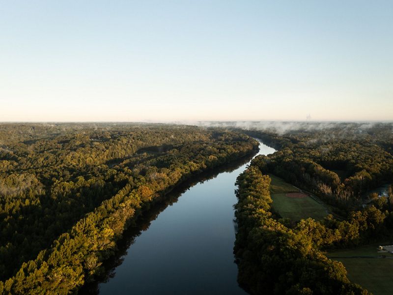 Aerial view of the Cape Fear River and surrounding forest.