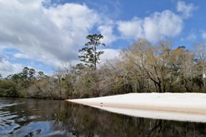 A white sandbar rises over dark tannin waters. 