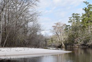 A black river's edge with white sandbar.