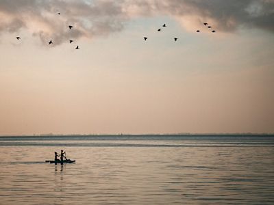 Two black silhouettes of people sit on a paddleboard, above them are thirteen black birds flying in a cloudy evening sky.