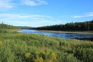 A broad river surrounded by grasses and trees, with a solitary person on the shore in the distance.