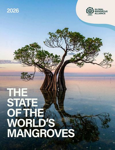 Report cover image.