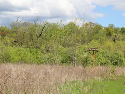 A raised wooden platform for osprey nesting stands in a green field with clusters of trees in the background.