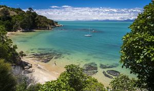 Aerial view of a person wading into crystal blue waters in a bay in New Zealand on a bright, sunny day.