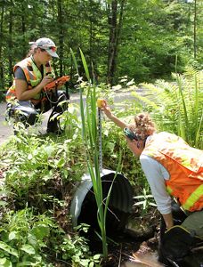 A woman uses a tape measure to measure a culvert pipe while another takes notes.