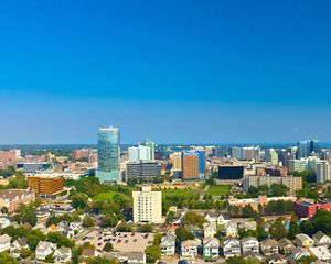 A city skyline reveals areas that include tree cover.