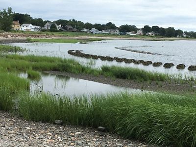 A shoreline with a large body of water in the background and lush green grasses in the foreground.