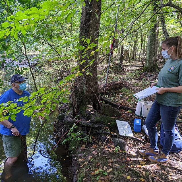 A man wearing a blue mask stands in knee deep water at the edge of a forest trail. A woman wearing a mask stands on the slightly higher dry ground holding a clipboard.